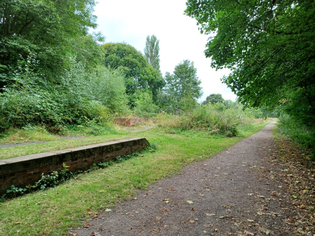 A view of Breadsall Station. Most of it is obscured by weeds and brambles. The exception is the short run of platform in the foreground