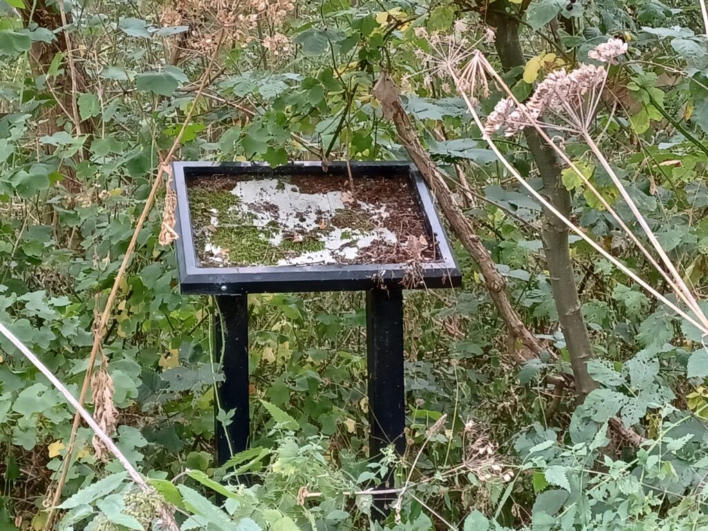 An information board surrounded by brambles, covered in moss, with no information.