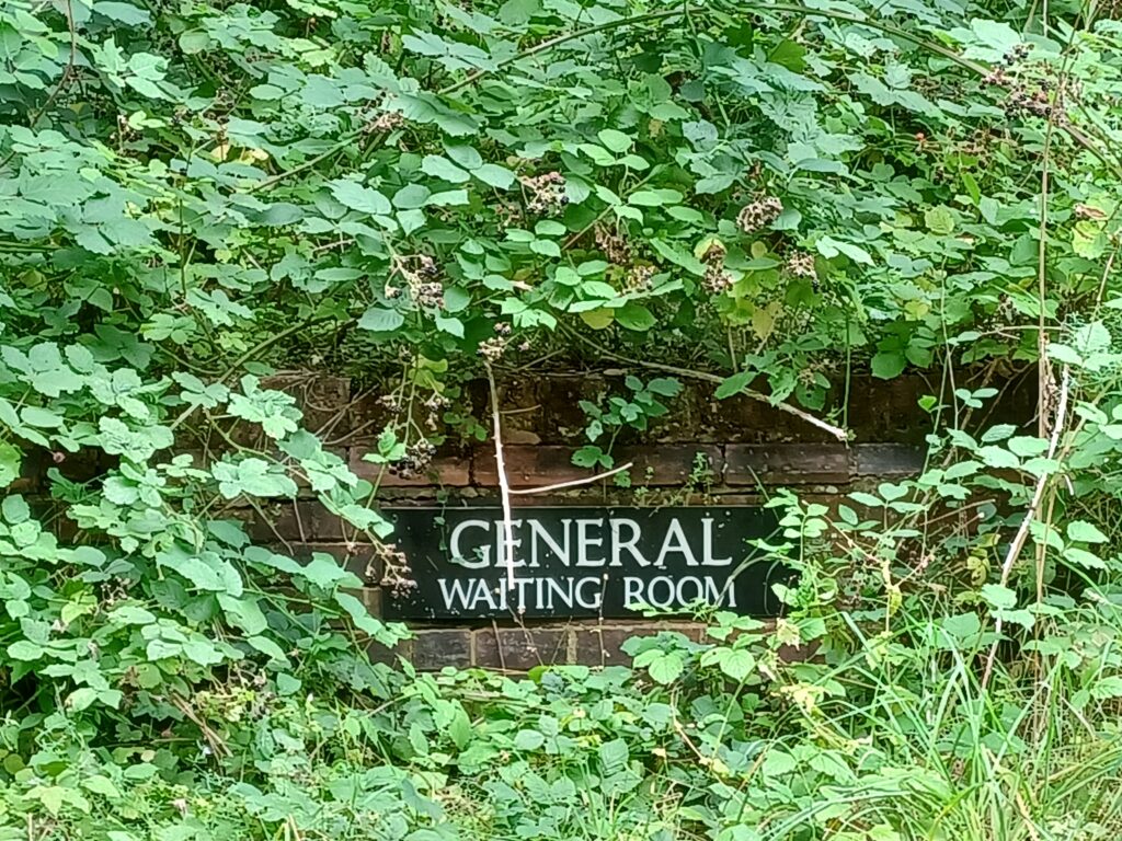 A sign that reads General Waiting Room on the side of a building overrun with brambles